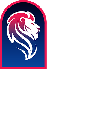 KNM Chemical Production of adhesives